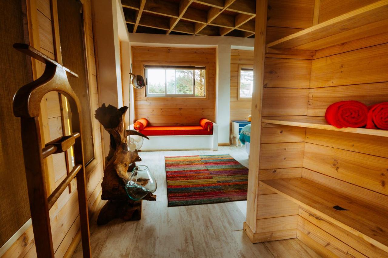 Sirena Insolente Hostel & Suites 皮奇勒姆 外观 照片