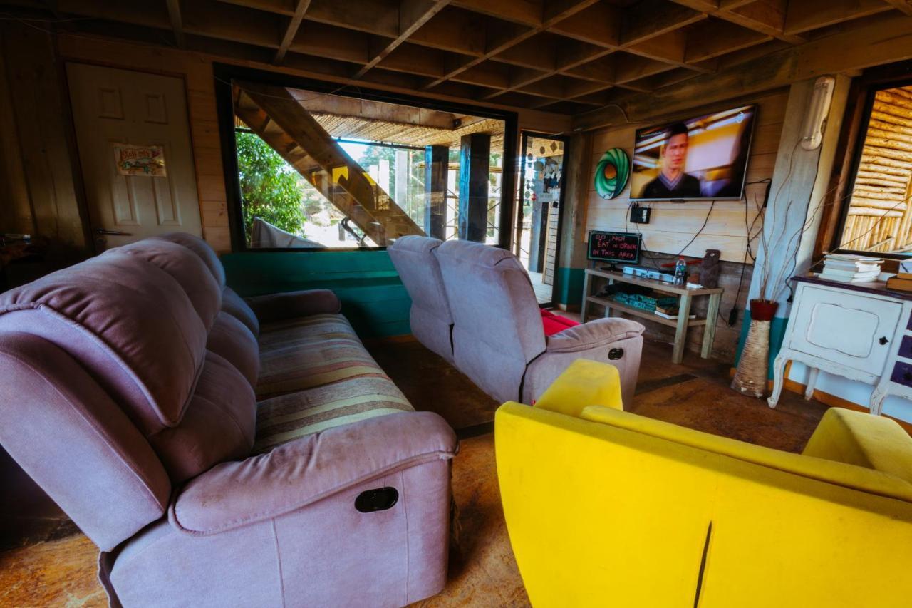 Sirena Insolente Hostel & Suites 皮奇勒姆 外观 照片