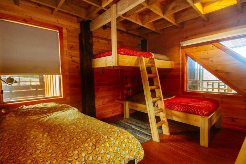 Sirena Insolente Hostel & Suites 皮奇勒姆 外观 照片