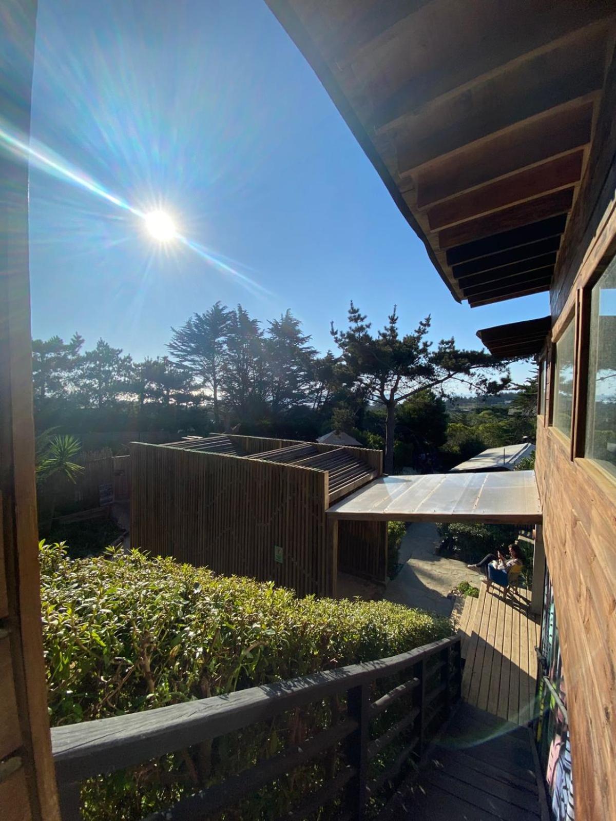 Sirena Insolente Hostel & Suites 皮奇勒姆 外观 照片