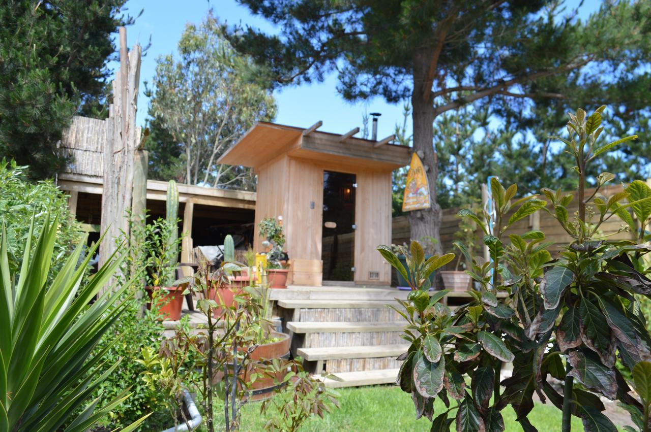 Sirena Insolente Hostel & Suites 皮奇勒姆 外观 照片