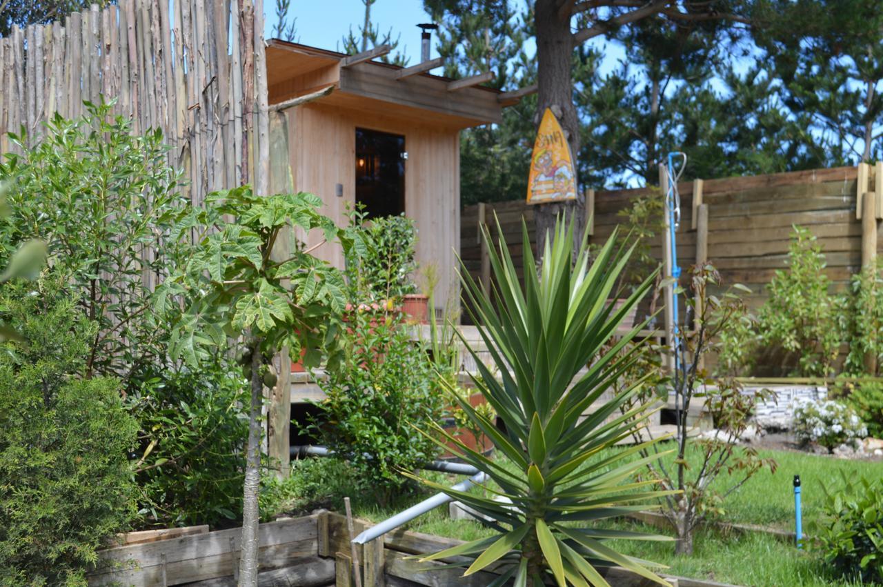 Sirena Insolente Hostel & Suites 皮奇勒姆 外观 照片
